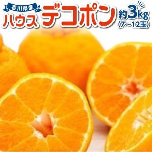 ふるさと納税 ハウスデコポン 約3kg でこぽん デコポン化粧箱入り でこぽん デコポン ご贈答 でこぽん デコポン フルーツ でこぽん デコポン .. 香川県さぬき市