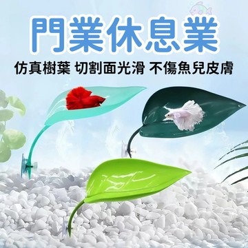 門魚 休息葉 仿真樹葉 鬥魚繁殖 產卵業 躲藏 休息業 娛樂 樹蛙棲息葉 鬥魚休息產卵葉 可重複使用 魚缸造景