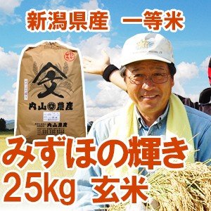 令和5年産新米 新潟県産 「みずほの輝き」 玄米25kg