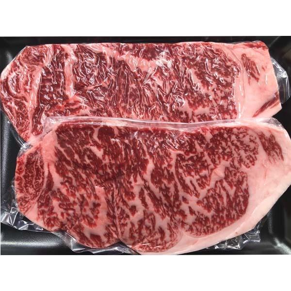 吉岡精肉店厳選 土佐和牛　サーロインステーキ　500ｇ（約250ｇ　2枚）冷凍便 高知 高知県産 贈答 プレゼント