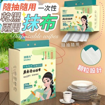 ✔️有發票🇹🇼現貨🌟【250抽/包】 隨抽隨用一次性乾濕兩用抹布 擦拭布 抹布