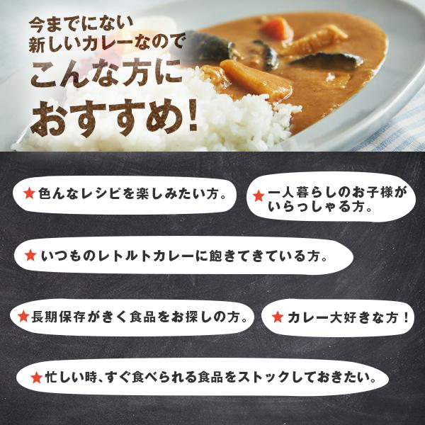 五島の鯛で出汁をとったなんにでもあうカレー（チーズ）30袋セット　送料無料