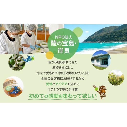 ふるさと納税 鹿児島県 肝付町 A20006 ＜世界でここだけ果実＞調味料で手軽に味わうよくばり入門セット！GI(地理的表示)登録産品！