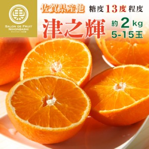 [予約 12月1日-12月31日の納品] 津の輝 つのかがやき 津之輝 SML 約2kg 5玉-15玉 佐賀県産 化粧箱 糖度約13度 柑橘   冬ギフト お歳暮