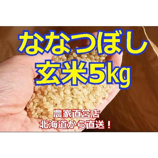 ななつぼし5kg 送料無料 田んぼや 神田農園 北海道から直送