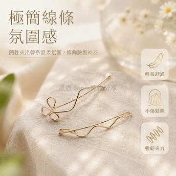 台灣出貨✨ 8字紋髮夾 三花瓣髮夾 波浪紋髮夾 簡約三件套 韓國個性邊夾 不規則幾何髮飾 冷淡風設計髮夾