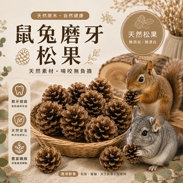 鼠兔磨牙玩具 小寵用品 鼠兔玩具 小寵磨牙松果 小松果 大松果 松果 小寵玩具  小動物玩具【20048】