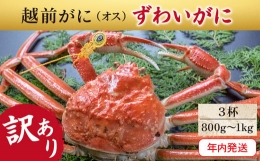 越前がに（オス）「ずわいがに」大サイズ（800g-1kg）訳あり 3杯