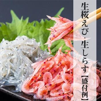 生桜えび200g×2、生しらす100g×3、セット　送料込　由比港水揚げ 駿河湾桜えび 静岡県産を安心して