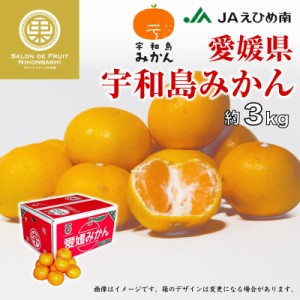 [予約 12月1日-12月20日の納品] 宇和島みかん SML 約3kg 愛媛県 うわじま レギュラー デイリー 早生 南柑20号