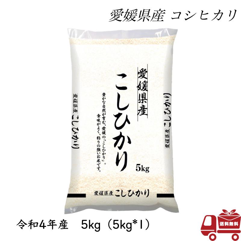 こしひかり 5kg 令和4年産 愛媛県産 米 お米 白米 おこめ 精米 単一原料米 ブランド米 5キロ   国内産 国産