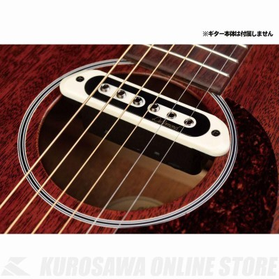 DeArmond TONE BOSS (アコースティックギター用サウンドホール