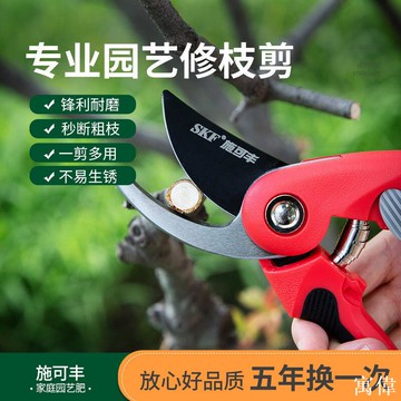 園藝剪 修樹枝剪刀 樹枝剪刀 園藝剪刀 花藝剪刀 修花剪刀 果樹剪 修枝剪樹枝專用剪子修剪刀花藝園藝通用剪刀粗枝剪省力果
