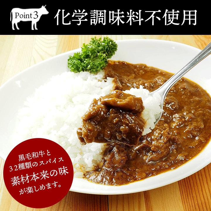 ビーフカレー ザ・ビーフ黒毛和牛すじカレー(240g・1食入) 常温便・クール冷蔵便可　※冷凍商品同梱不可