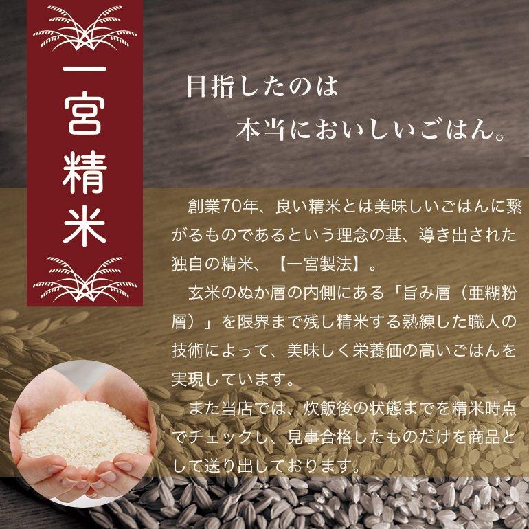 新米 無洗米 コシヒカリ 10kg 三重県産 5kg×2本 お米 米 令和5年産 送料無料 単一原料米 こしひかり