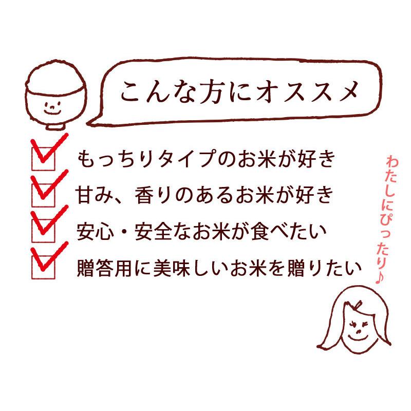 お米 20kg 送料無料 特別栽培米 長岡産コシヒカリ 20kg(5kg×4) 新潟米 令和４年産