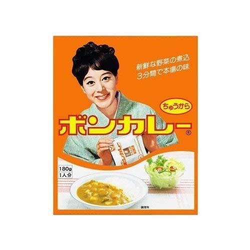 沖縄限定版ボンカレー中辛10パックセット