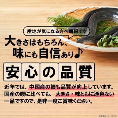 ふるさと納税 上毛町 うなぎの蒲焼ビッグサイズ　2尾(計約600g)