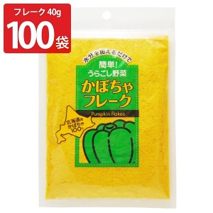 かぼちゃフレーク 40g100袋 かぼちゃ 北海道産 フレーク 離乳食 介護食 大望 