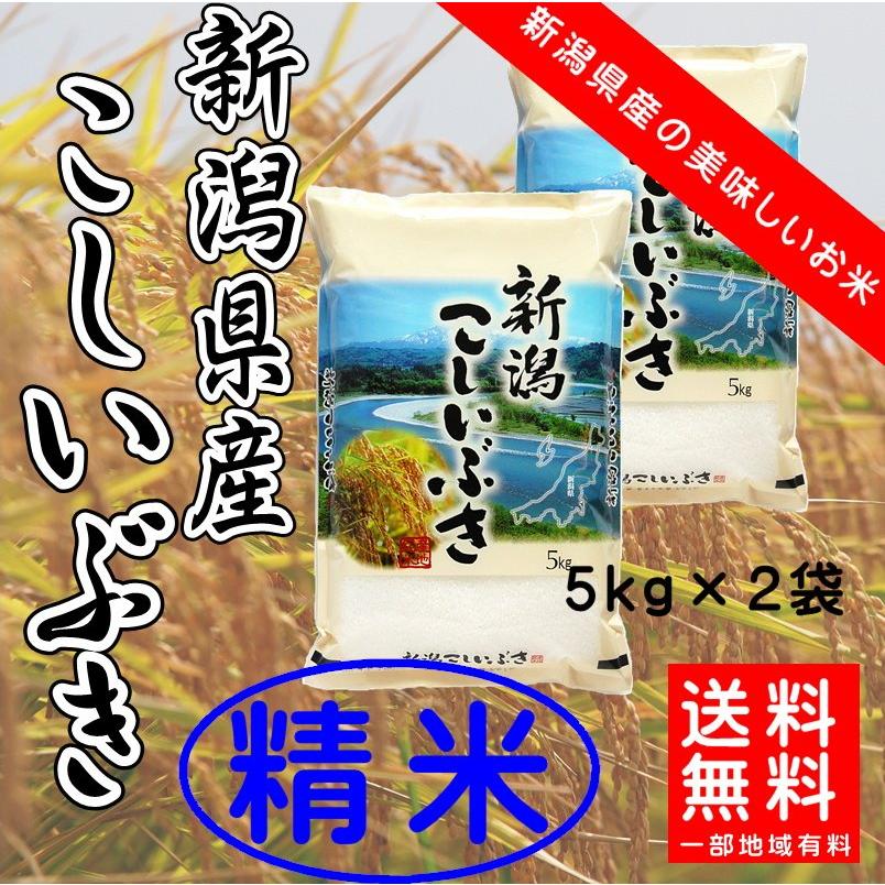 新米　お米　新潟産こしいぶき　精白米５kg×２袋　本州送料無料　阿賀野市　令和5年産