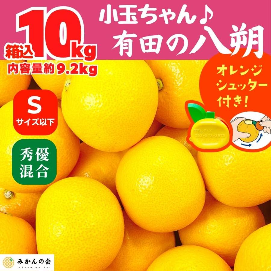 八朔 (はっさく) 小玉ちゃん 箱込 10kg(内容量約 9.2kg) 秀品 優品 混合 Sサイズ以下 和歌山県産  産地直送