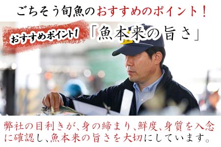 目利きが選んだごちそう旬魚 7種9枚7切 セット あじ さば ぶり さわら 真鯛 赤むつ 干物 粕漬け しめ鯖 みりん醤油漬け 味噌漬け ひと塩 おかず ギフト 昭徳