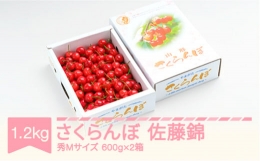 先行予約 さくらんぼ 佐藤錦 秀Mサイズ バラ詰め 1.2kg(600g×2箱) 2024年産 令和6年産 山形県産 ns-snsmb1200