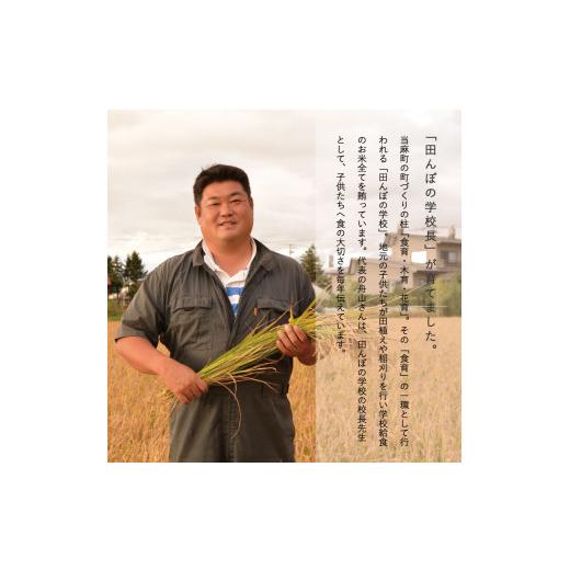 ふるさと納税 北海道 当麻町 特別栽培米 発芽玄米 4kg　舟山農産