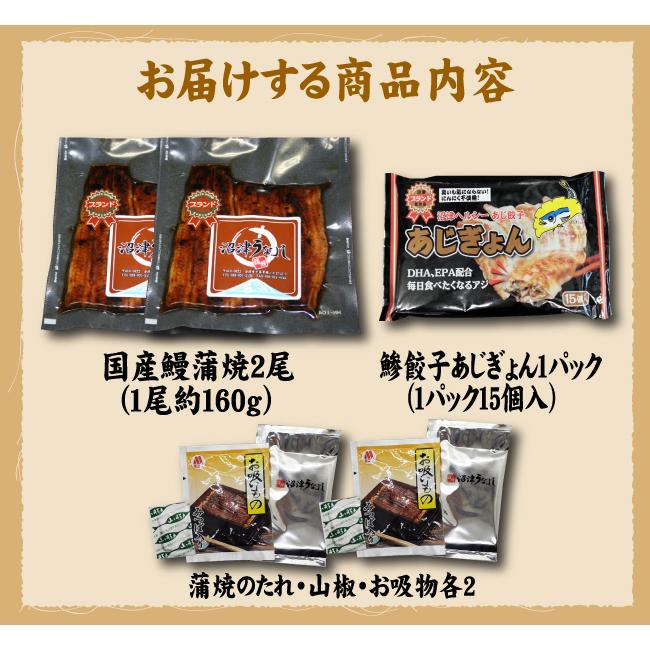 蒲焼・鯵餃子の２種類　蒲焼２尾・あじぎょん１５個　送料無料　国産うなぎ　手焼き　冷凍クール便