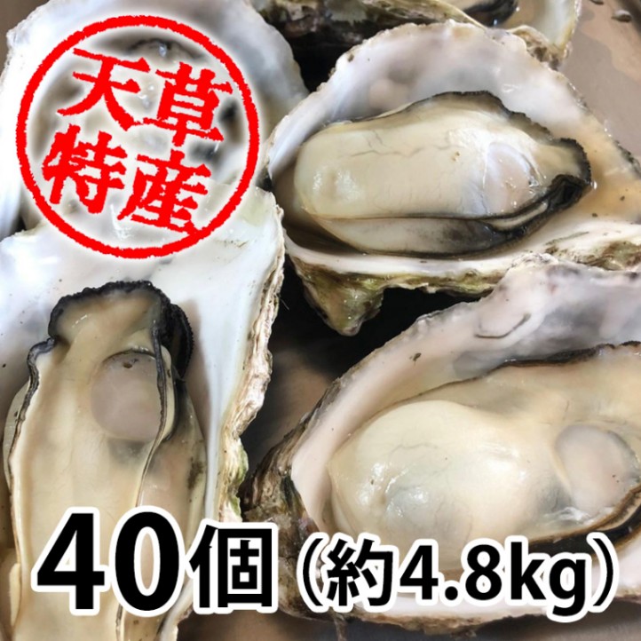 セール特価 冷凍 海鮮 バーベキューセット 4種 40点 殻付き牡蠣 桃こまち えび ホタテ いか串 軍手 牡蠣ナイフ 付き 送料無料 BBQ 海鮮焼き 業務用 冷凍 海鮮 バーベキューセット 4種 55点 3kg 殻付き牡蠣 桃こまち えび ホタテ イカ (軍手 牡蠣ナイフ 付き)送料無料 BBQ海鮮焼き 業務用