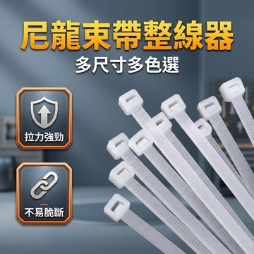 【台灣現貨】 尼龍束帶 整線器綁帶 多功能彩色束線帶 理線神器 電線收納 紮線帶