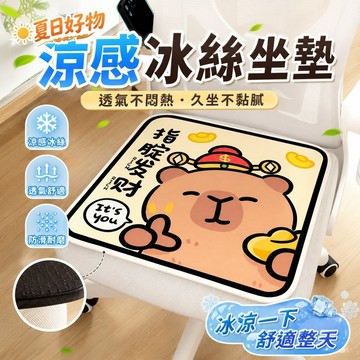 【夏日好物】528涼感坐墊 冷凝墊 透氣坐墊 涼墊坐墊 冰涼坐墊 卡通冰絲辦公坐墊久坐透氣涼席屁墊防滑耐磨加厚四季坐墊