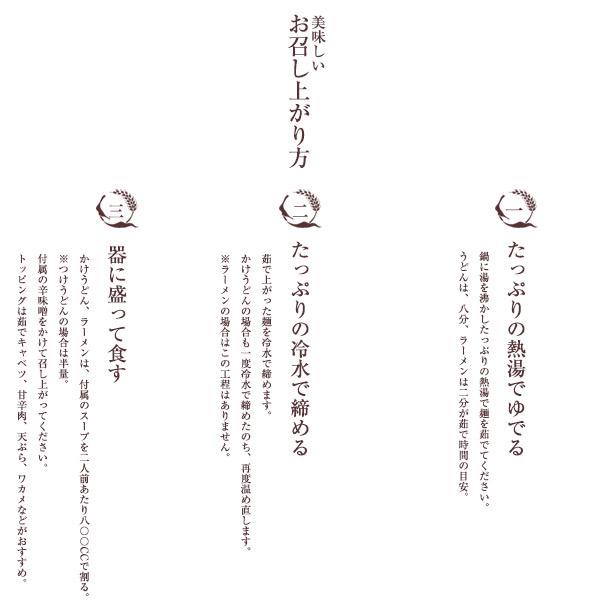 うどん屋源さんの吉田のうどん（2人前×2）辛味噌付き 取り寄せグルメ 吉田のうどん 吉田うどん 生めん お中元 冷蔵発送