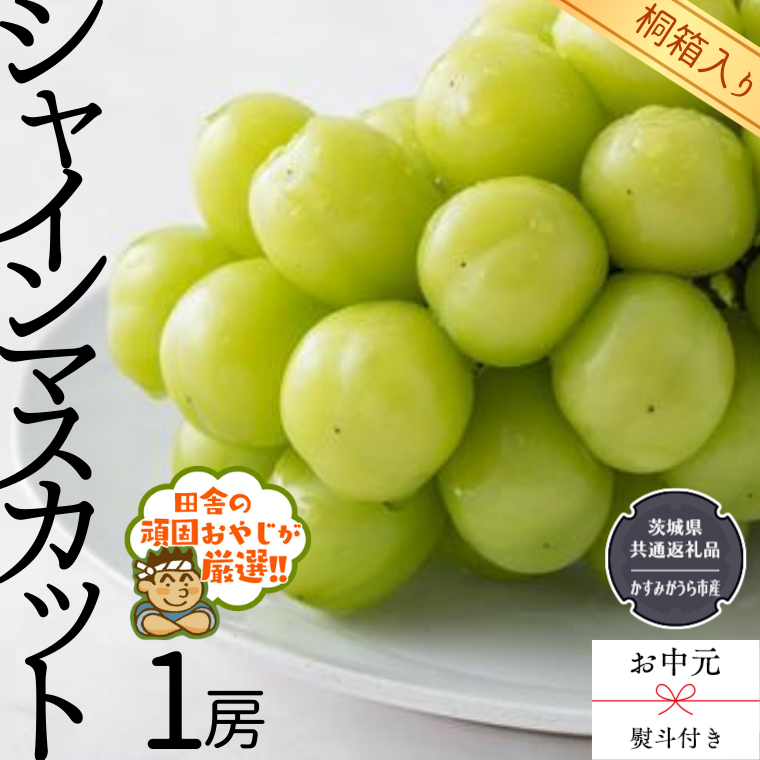 シャインマスカット1房  （県内共通返礼品：かすみがうら市産） シャインマスカット ぶどう 果物 フルーツ 季節 旬 [BI403-N