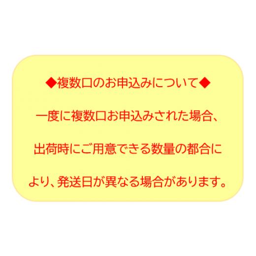 ふるさと納税 岩手県 一関市 《格之進》メンチカツ8個