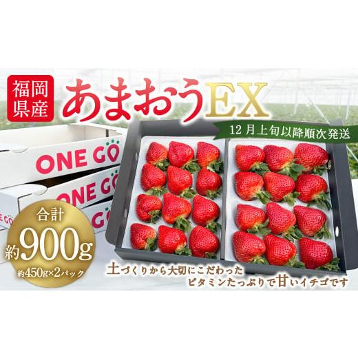 ふるさと納税 福岡県 岡垣町 ギフト配送 福岡県産あまおう EX 約450g×2パック 〈特別栽培〉