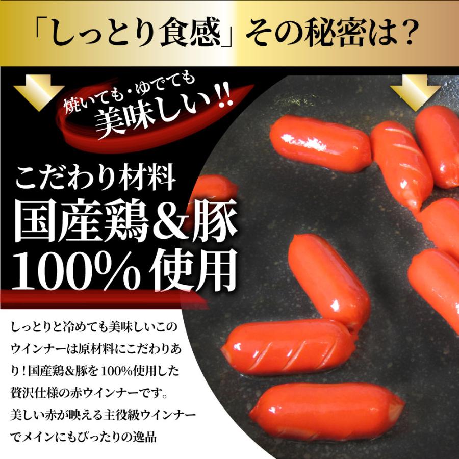 ウインナー 赤ウインナー 2kg(1kg×2) 国産100％肉使用 タコさんウインナー 豚 焼肉セット 朝食 焼くだけ お弁当 弁当 アウトドア お家焼肉 送料無料