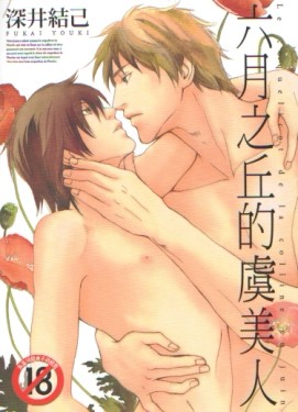 六月之丘的虞美人[二手書_普通]