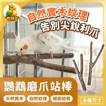 【鳥國王】鸚鵡磨爪站棒 Y型樹枝站棒 天然木頭站棒 掛籠式站棒 鸚鵡站棒 鳥站棒 鳥籠布景 鸚鵡用品 鳥用品