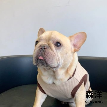 爆款鞦鼕款寵物狗狗法鬥加絨背心泰迪柯基八巴哥保暖背心小型犬加絨