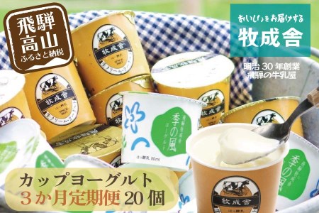 飛騨のカップヨーグルト20個セット 毎月1回お届け 乳製品 ヨーグルト2種類 セット 詰合せ 牧成舎 TR3750