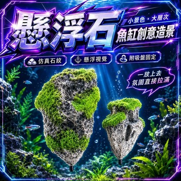 漂浮石造景 魚缸浮石 仿真漂浮石 水族箱造景石 水族造景 造景裝飾 水草缸裝飾 水底世界裝飾 懸浮造景飾件 造景石