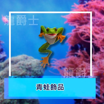 ✨現貨✨[龍爵士水族]青蛙飾品  裝飾品 造景 擺飾 飾品 擺件 魚缸造景 魚缸擺飾 可愛小物   Z18