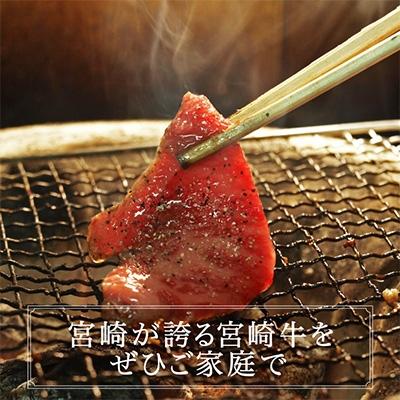 ふるさと納税 綾町 宮崎牛三角バラ焼肉600g(綾町)