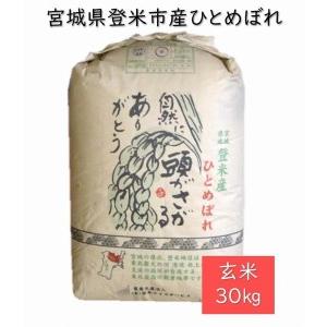 ふるさと納税 宮城県登米市産ひとめぼれ玄米30kg 宮城県登米市