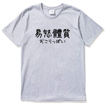 日文易怒體質 #2 短袖T恤 灰色 漢字 日文 英文 文青 中國風