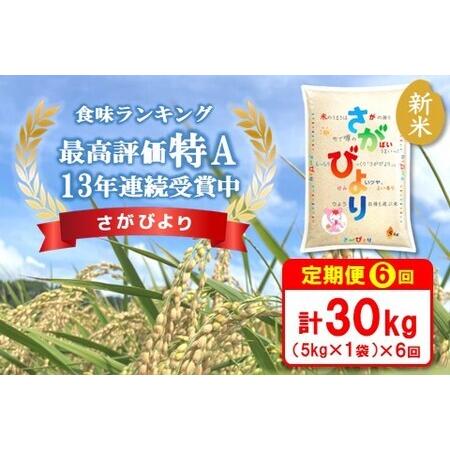 ふるさと納税 新米☆特A評価米☆ 令和5年産 さがびより 5kg【さがびより 米 お米 ごはん ご飯 白米 精米 ブランド ランキング 特.. 佐賀県基山町