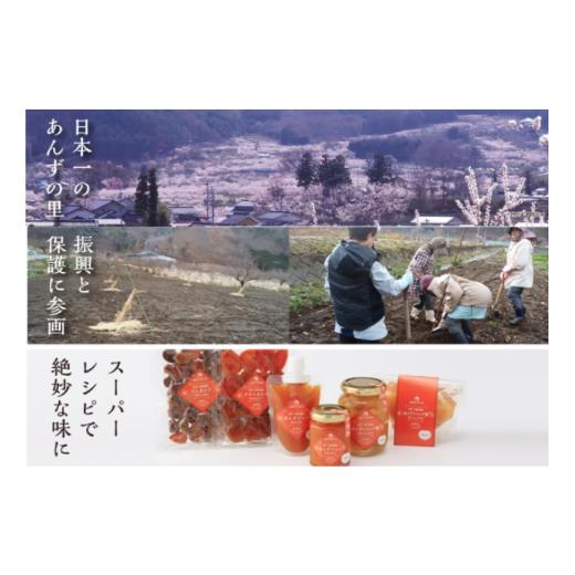 ふるさと納税 長野県 千曲市 ドライフルーツでお手軽に 信州産 ドライフルーツ 人気3品 セット