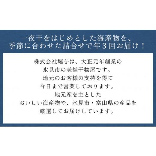 ふるさと納税 富山県 氷見市 氷見堀与季節の干物・海産物詰め合わせ 富山県 氷見市 干物 魚 魚介類 加工品 ブリ ホタルイカ エビ 醤油