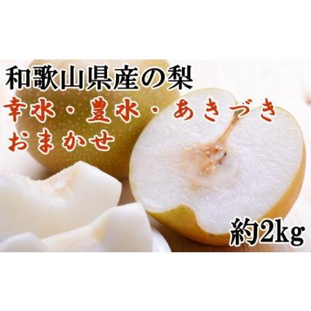 ふるさと納税 和歌山県産の梨 約2kg（品種おまかせ）※着日指定不可 ※2024年8月中旬〜10月上旬頃に順次発送予定 和歌山県美浜町